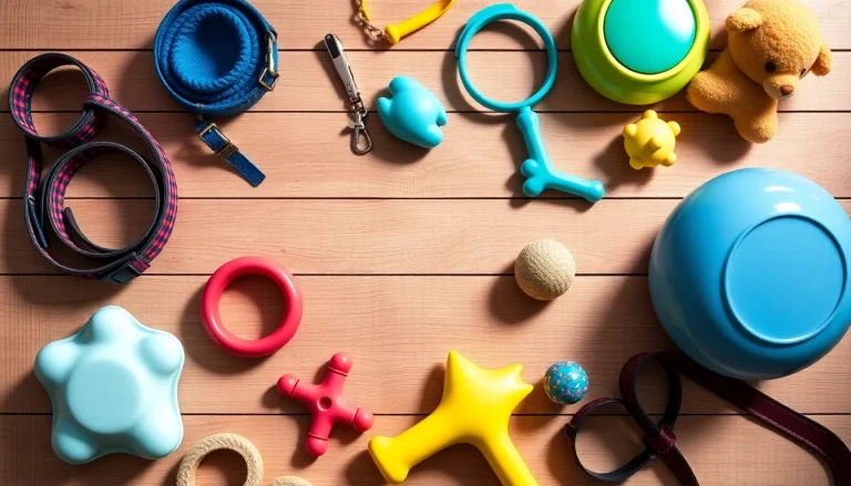 Showcasing creative pet accessories including colorful collars, leashes, and toys designed for pets.