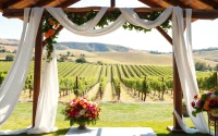 Couple celebrating their love at stunning clarksburg wedding venues surrounded by beautiful vineyards.