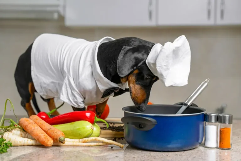 Can-Dogs-Eat-Human-Food